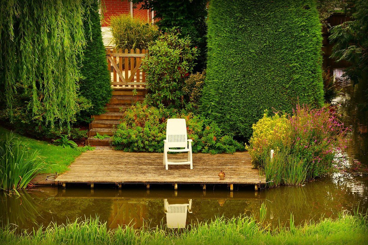Jardin avec point d'eau et végétation