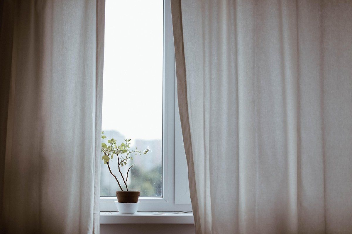 Fenêtre de chambre avec voilage et plante